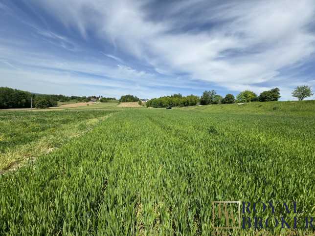 Działka Sprzedaż Rzeszów 4